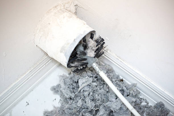 Best HVAC Air Duct Cleaning  in Gibson, AR